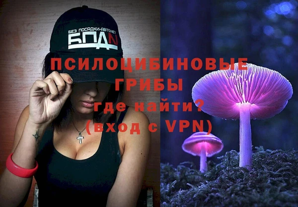 молекула духа Алексеевка