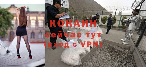 тгк Алзамай