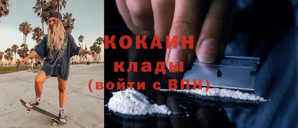тгк Алзамай